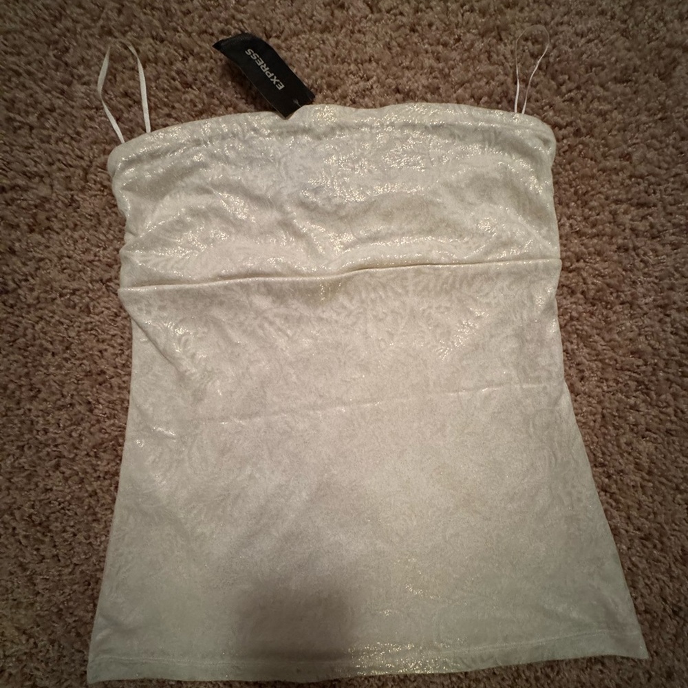 Express Shimmering Ivory Tube Top